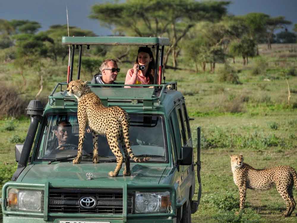 Uganda safaris