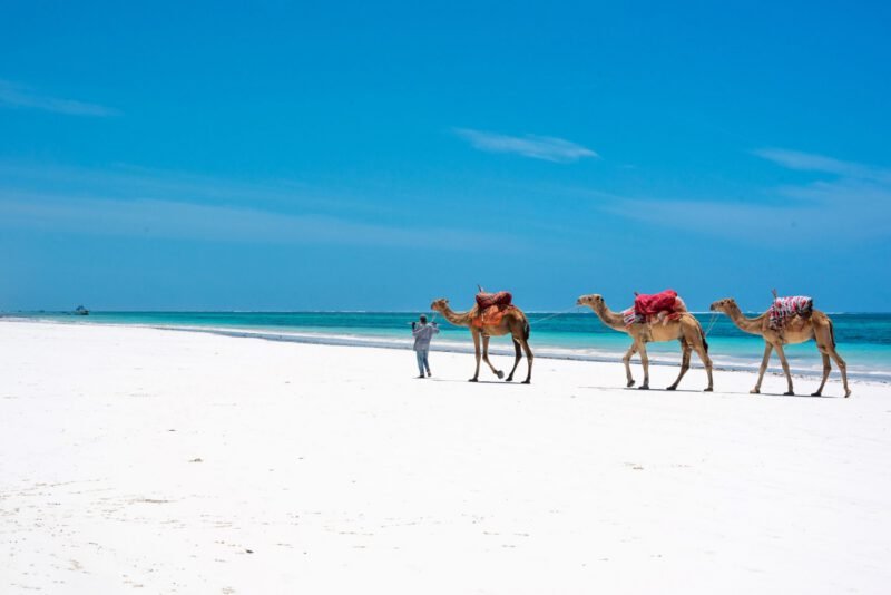 Diani Beach