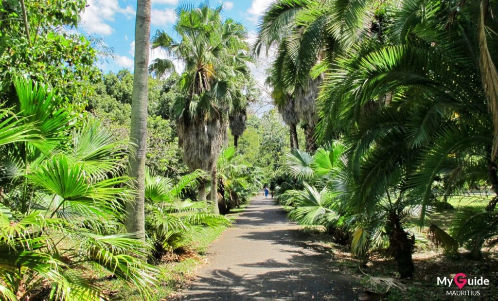 Pamplemousses Botanical Garden